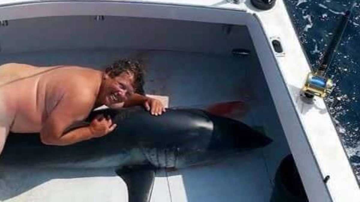 mcelwain.jpg